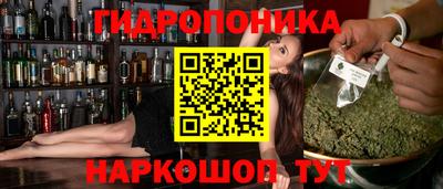 бошки Сланцы