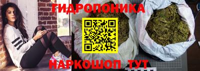 бошки Сланцы