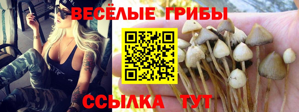 Кузнецк  Псилоцибиновые грибы GOLDEN TEACHER  Вход с VPN 