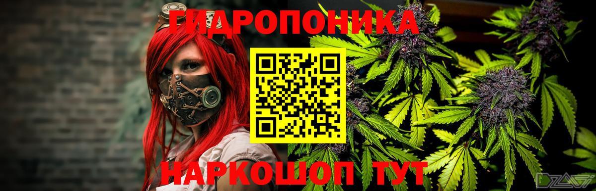 Канабис VHQ  Вход с VPN  Бошки марихуана индика  Кузнецк  Бошки марихуана семена 